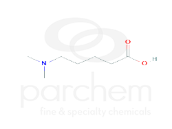 684274 pentanoic acid, 5-(dimethylamino)- chemical structure